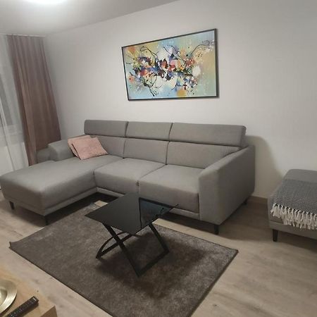 Popasu Din Oras Apartman Nagybánya Kültér fotó
