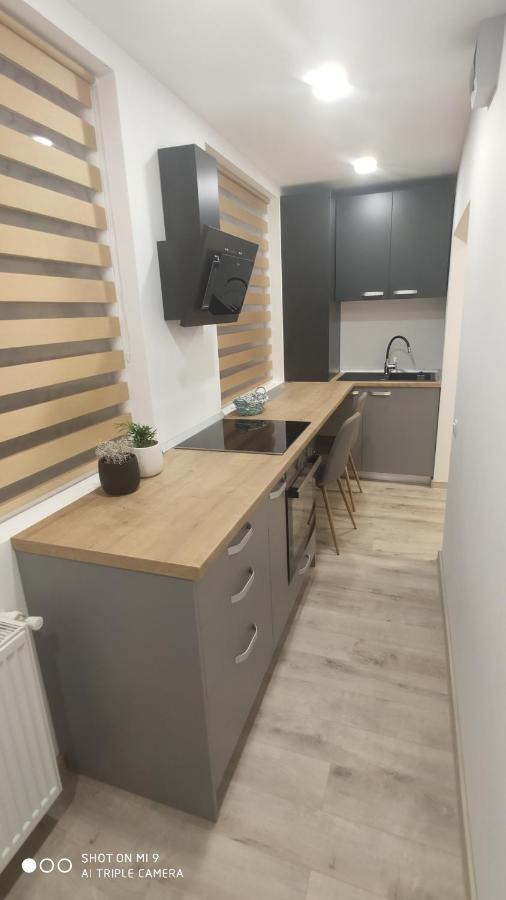 Popasu Din Oras Apartman Nagybánya Kültér fotó