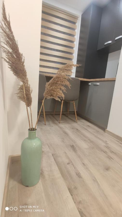 Popasu Din Oras Apartman Nagybánya Kültér fotó
