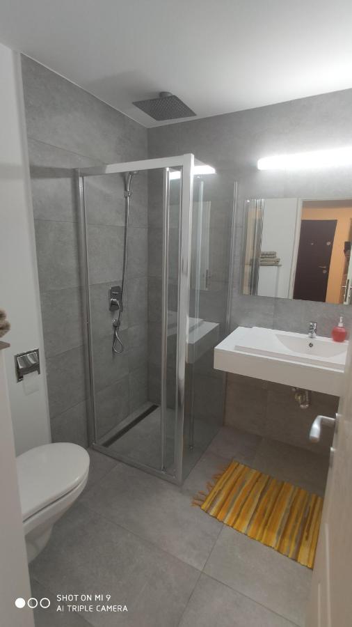 Popasu Din Oras Apartman Nagybánya Kültér fotó