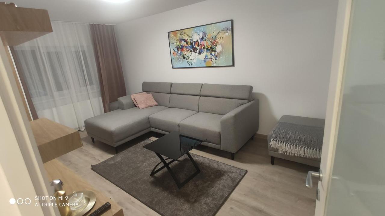 Popasu Din Oras Apartman Nagybánya Kültér fotó